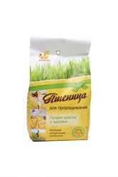 Пшеница для проращивания, 500г, Дивинка див42