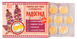 Леденцы живичные шалфей на изомальте, 32г, Радоград рдг56